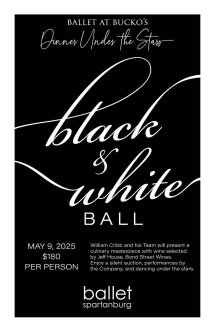 Evening Under the Stars - Ballet With Bucko
