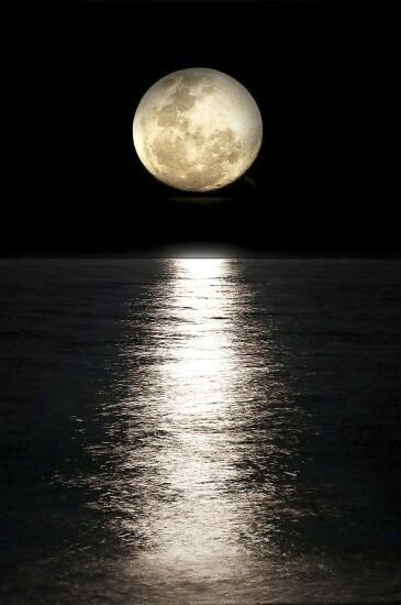Clair de Lune